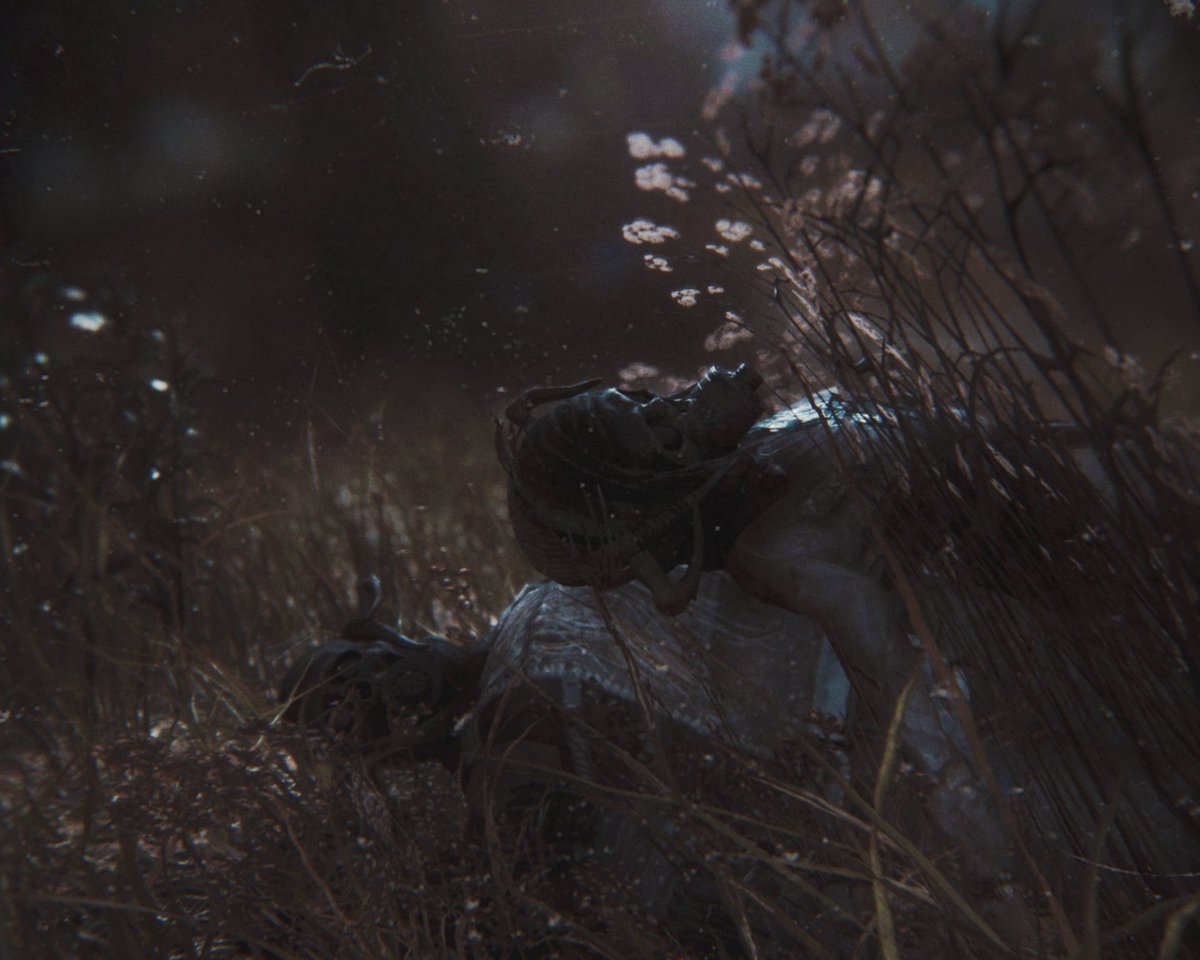 RarestCryptid's tweet photo. https://t.co/nn9hqWb8ig