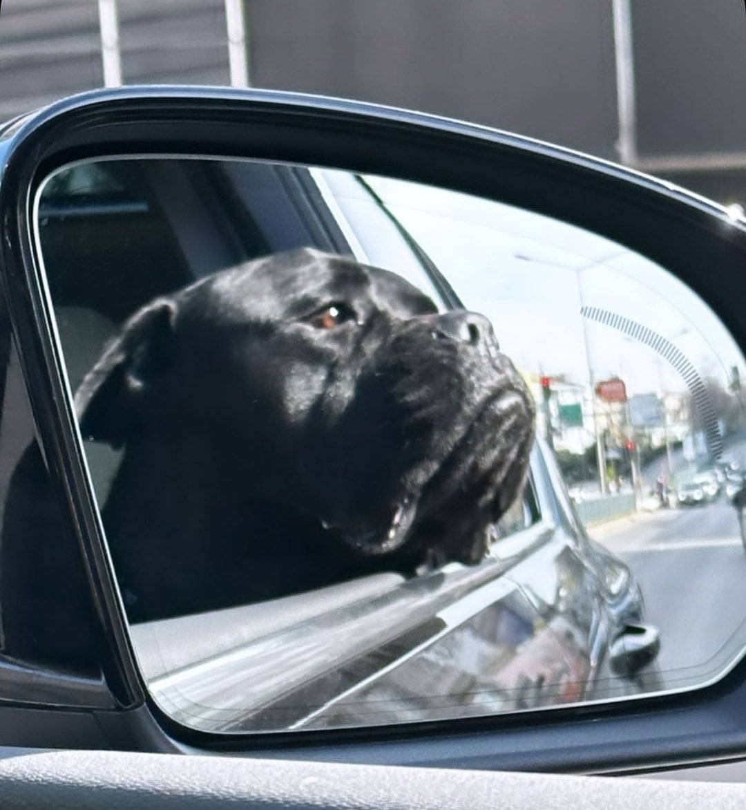 Gezip tozuyoruz 🌼