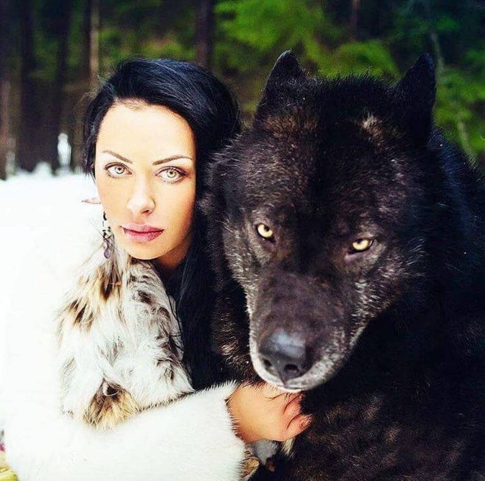 Вольфхунд