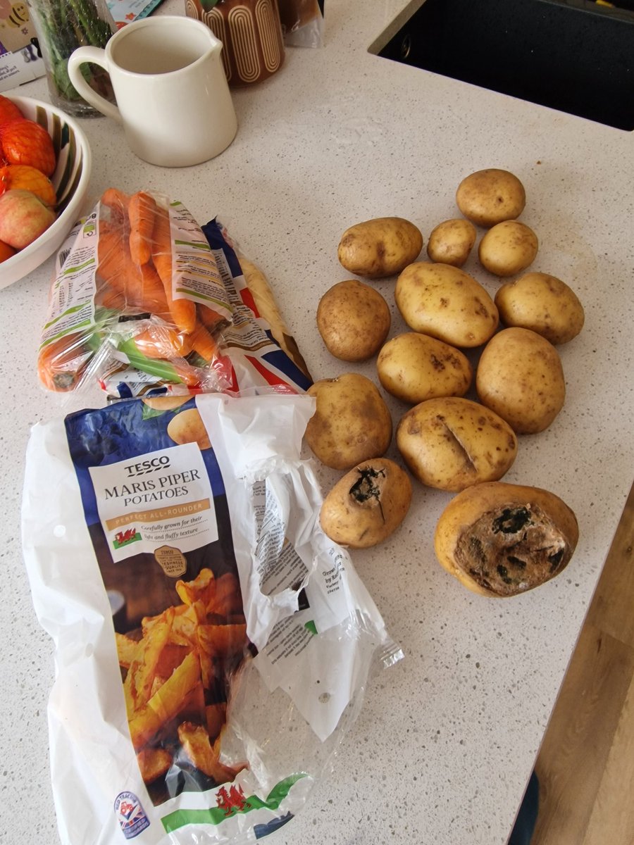 ToryWipeout's tweet image. As I've said previously veg quality in the UK is crap at the moment. 

Why is this @Tesco? Bought today.