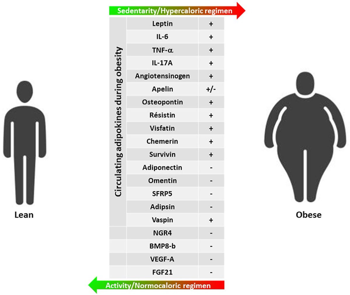 Adipokines in #obesity &amp; #metabolic-related-diseases
sciencedirect.com/science/articl…