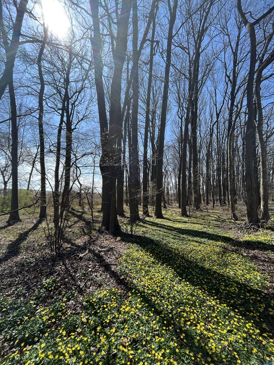 vorfra's tweet photo. Spring is here https://t.co/frPSnX8MZb