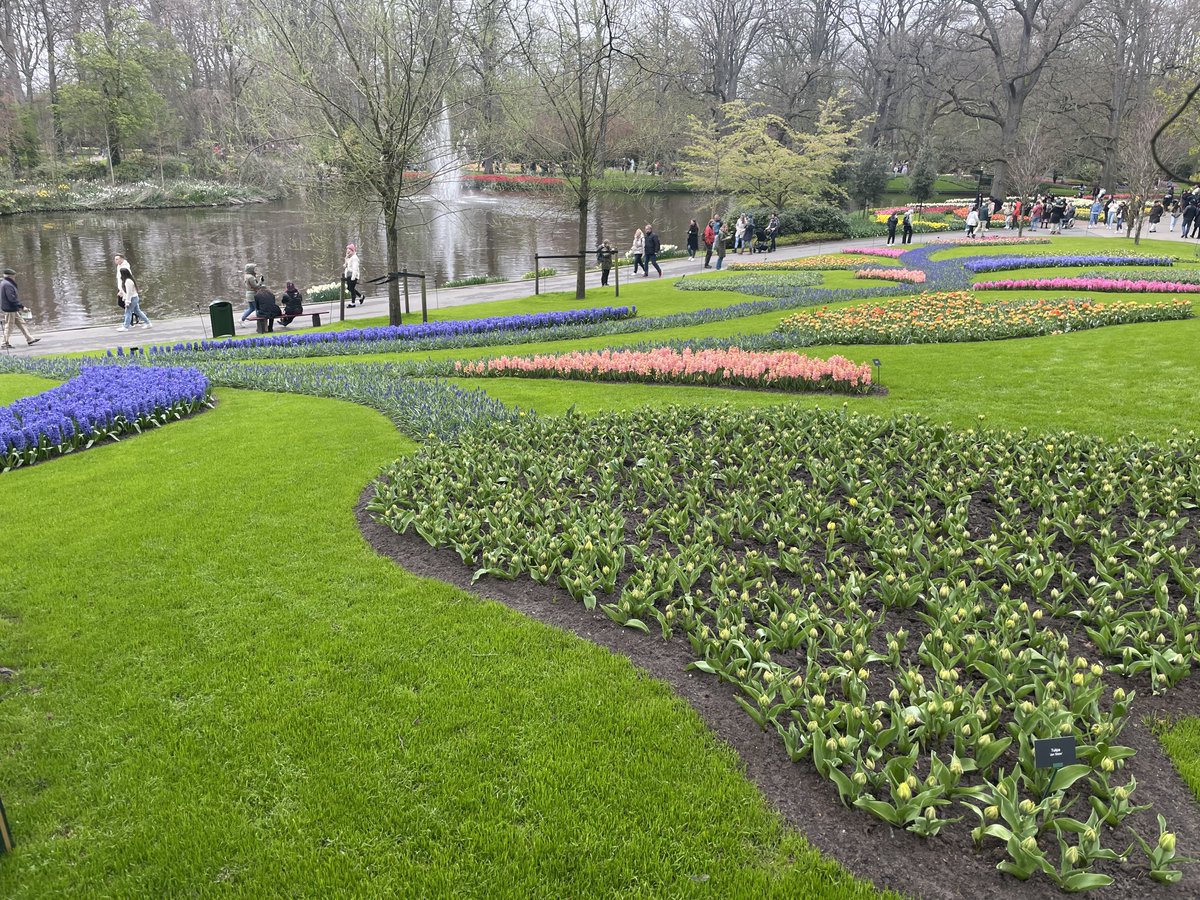 Saw some flowers n windmills for a chill sunday mood