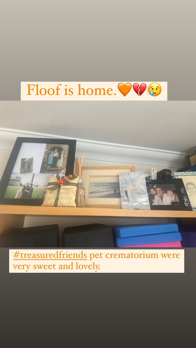 LauraNadiaHunt's tweet photo. 😢🧡 #treasuredfriends pet crematorium were lovely.x https://t.co/HRBIH90fVu