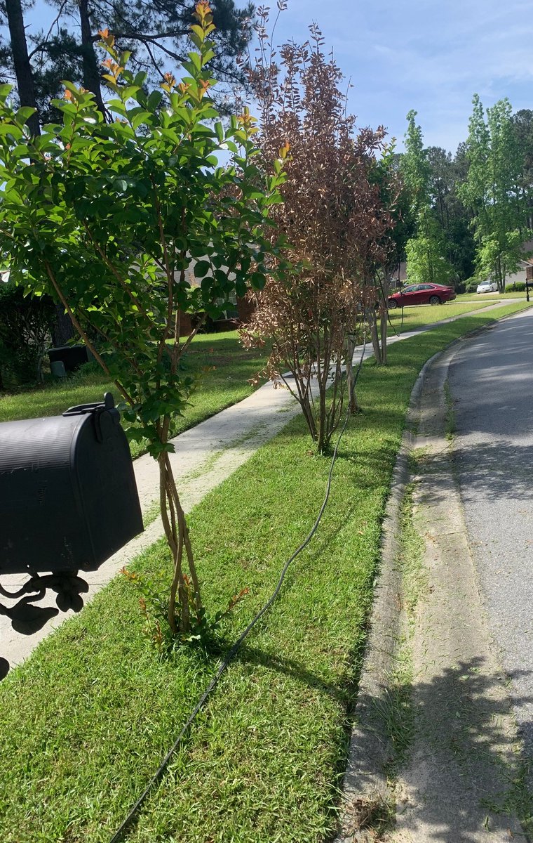paythemonkey_'s tweet photo. @comcast @Xfinity Move your f^c&amp;!n@ cables off my property! BURY THEM along with your customer service. Going on two years of children tripping and falling walking across the sidewalk &amp; this homeowner risking damage to your cable and my property navigating your sloppy work. https://t.co/gC1mh1CvRZ