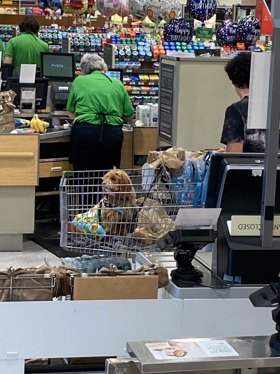 EZHelp4U's tweet photo. @Publix  I'm disgusted to see that even though the door says no pets, you allowed a pet dog in the store &amp; in a shopping cart. Crazy you don't want to upset the dog owner, but us unhappy shoppers can go to hell? That's the attitude of employees' at Publix 881 anyway!!! https://t.co/7tte6unmzX