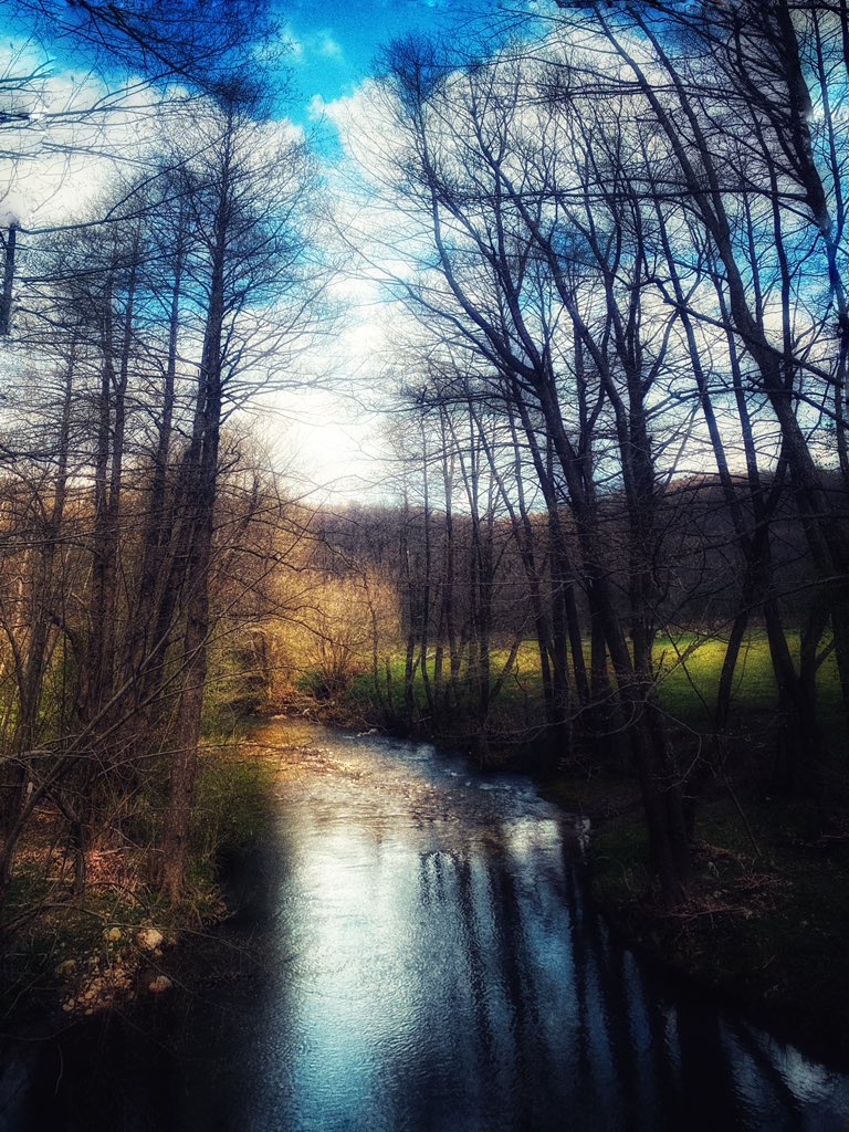 GunesOkuyucu's tweet image. #iğneada