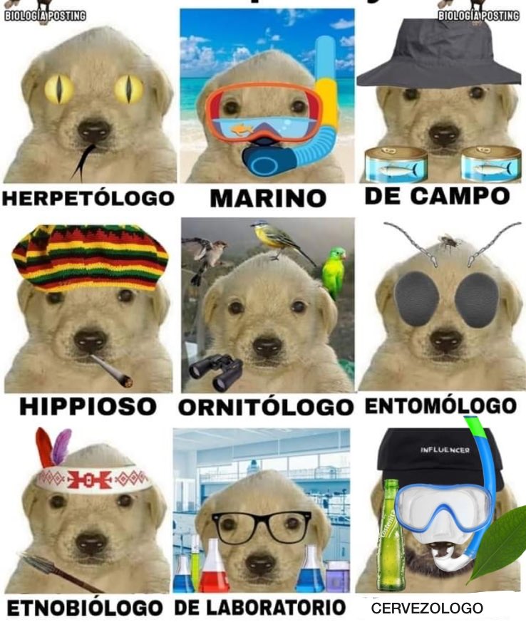 iam_kalonge's tweet image. #biologos #biologia