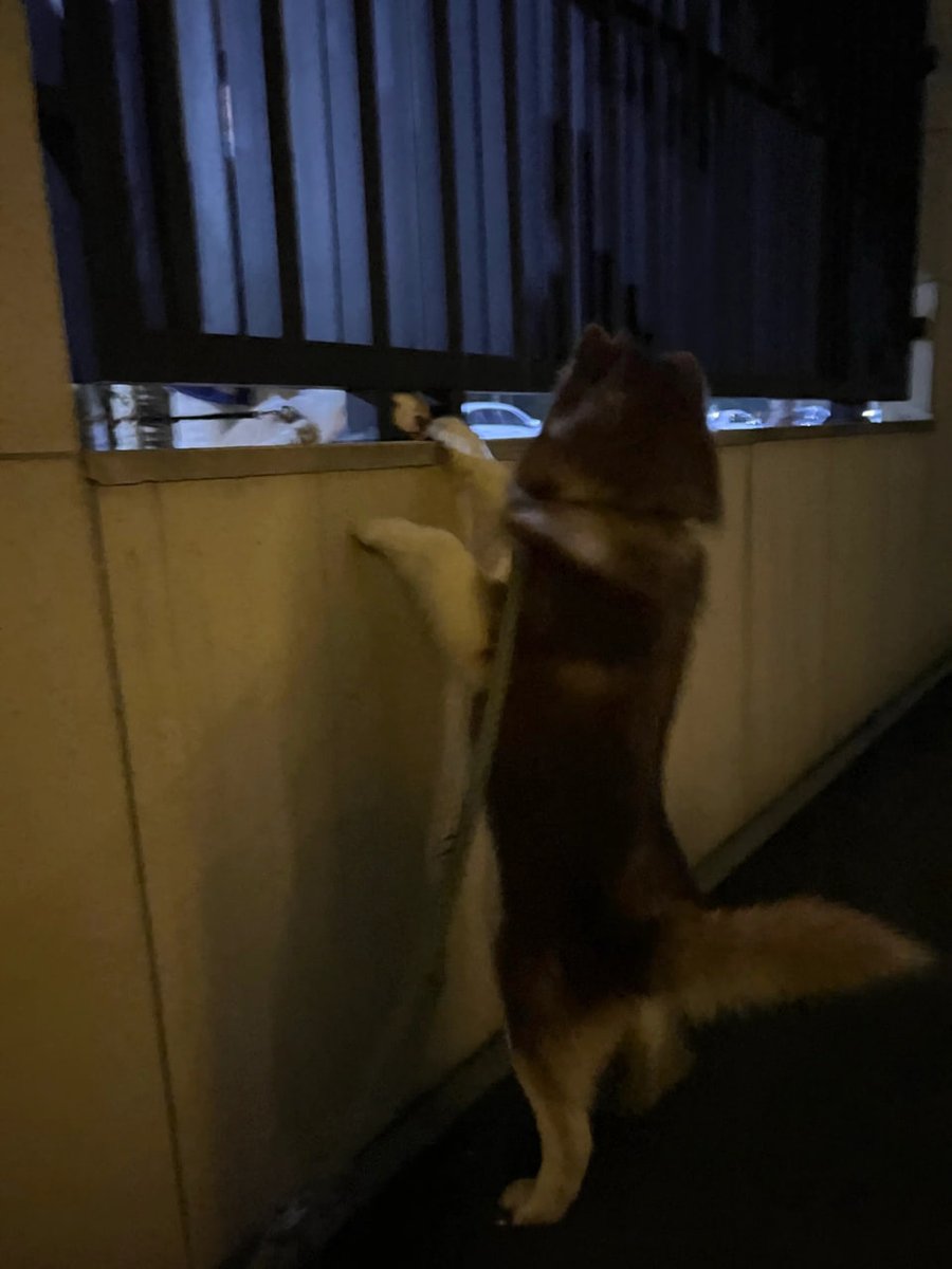 KarlosGarup's tweet photo. 每次出来，就不想回家了。🤣🤣 https://t.co/rtkprWEsrP