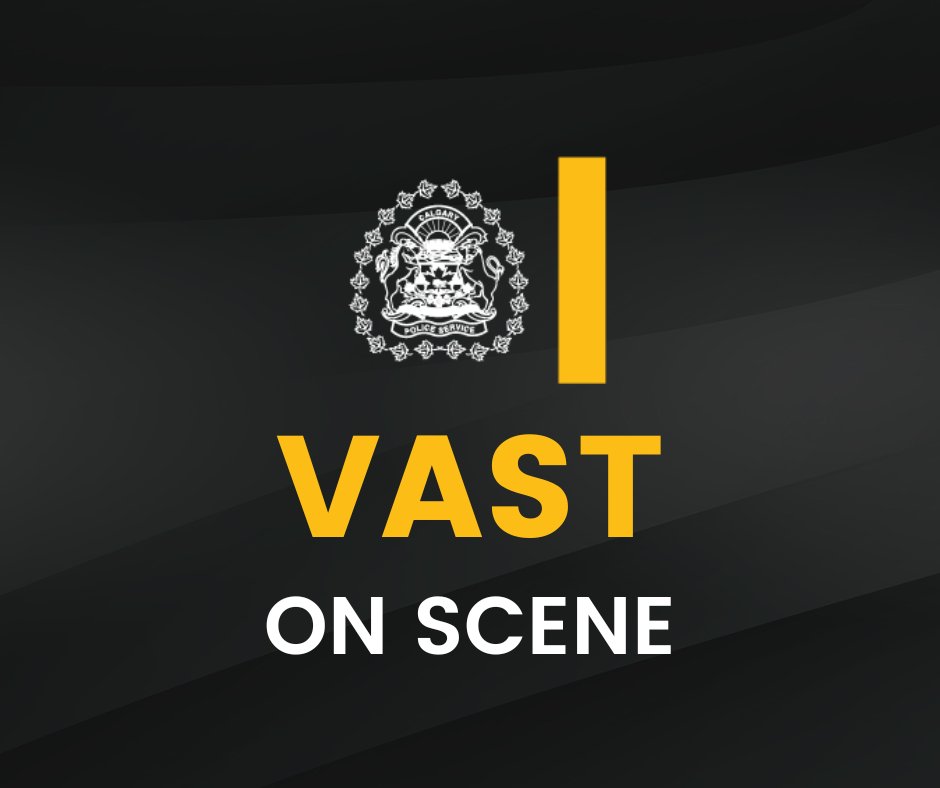 The incident that took place last evening in Spruce Cliff was witnessed by many members of the public. We recognize it may be upsetting to those who witnessed it and want to ensure witnesses and those impacted by this event are connected with support.

Our Victim Assistance