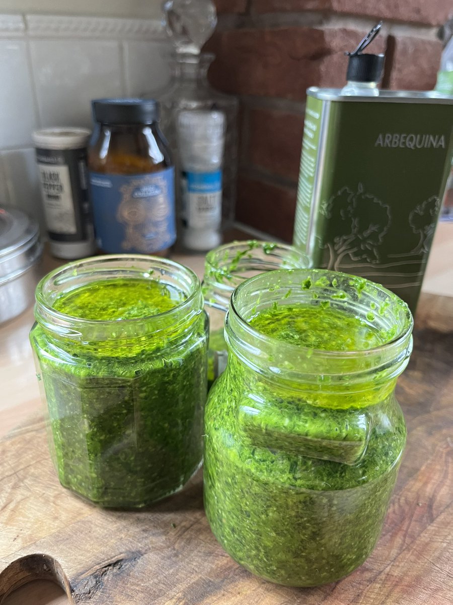 A bit of foraging today which has ended up with this beautiful stuff: wild garlic and hazelnut pesto 💕