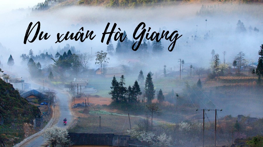 OneVivu's tweet photo. Du lịch Hà Giang mùa xuân là thời khắc được ôm trọn tất thảy vạn vật và nền văn hóa Hà Giang. Tuy nhiên, cũng có nhiều bạn thắc mắc, mùa xuân Hà Giang có gì để trải nghiệm? #dulichhagiang #onevivu

https://t.co/9ovA06zYcf https://t.co/Xowt7qEUxH