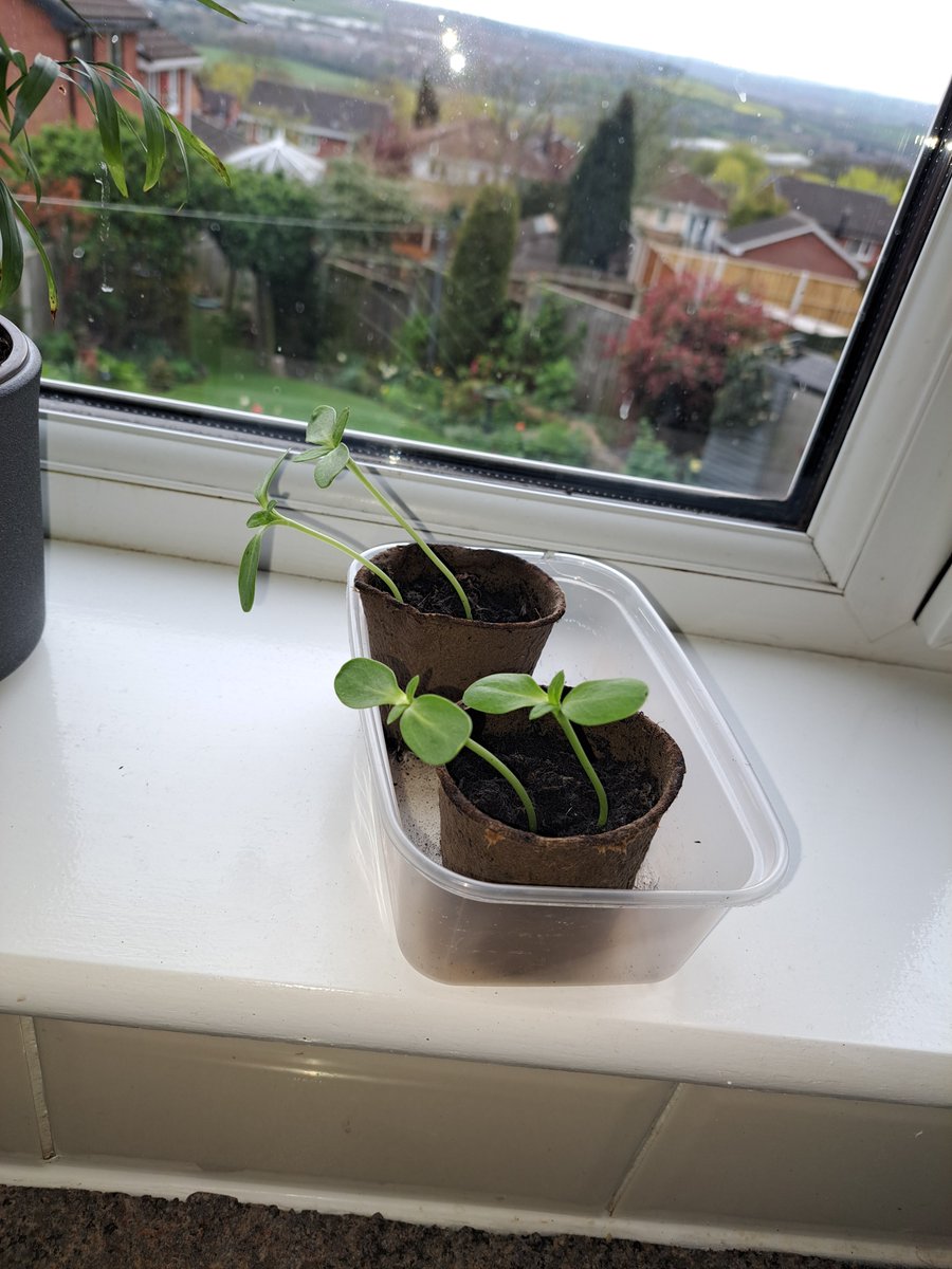 Sarah robotham Jack & Isla's mum 😊 tweet media