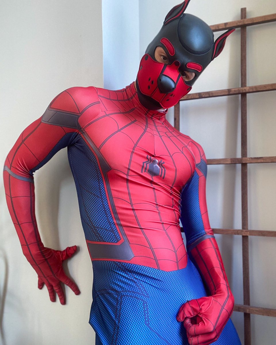 zanderwoodz's tweet photo. Need a hero? 🕸️🐾 https://t.co/6ElMvlgcKz