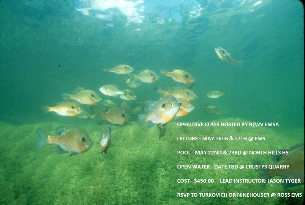 RossWestViewEMS's tweet photo. Ever considered taking a class on SCUBA diving? We will be hosting one here at Ross West View EMSA! Check the flyer for details. PM us if you have any questions or want to attend. Preference given to public safety staff first. https://t.co/lJ6oovpCbQ
