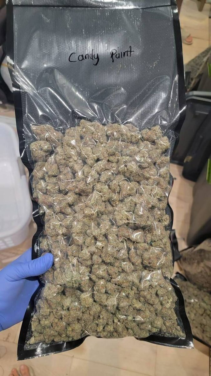LiviaOscar7351's tweet photo. Products sealed and getting sent out already. Hit me up to place your orders for these 🔥 strains✨
Fast delivery 📦🚚✅ #420friendly #14february #WeedLovers #WeedPack #cannabisindustry #weedsmokers https://t.co/zHS3FPOsDN