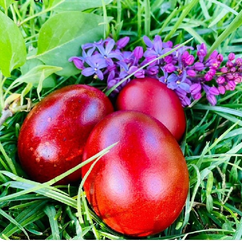 CyprusinRussia's tweet photo. The Embassy of the Republic of Cyprus in Russia wishes everyone happy Easter. May the hopeful message of Easter to accompany your families and loved ones.
Посольство Республики Кипра поздравляет всех с Пасхой. Пусть обнадеживающее послание Пасхи сопровождает ваши семьи и близких. https://t.co/8BEZEtONS4