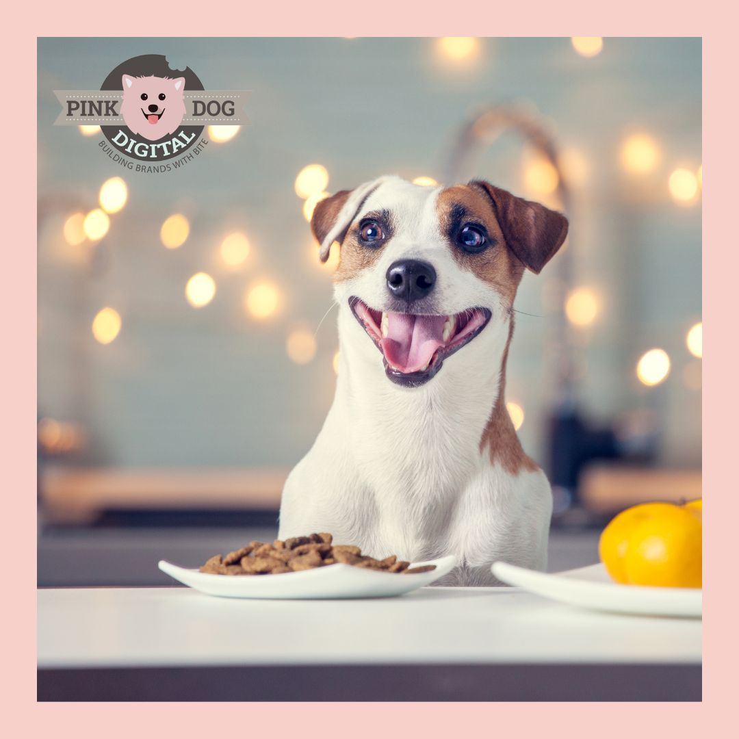 Pink Dog Digital tweet media