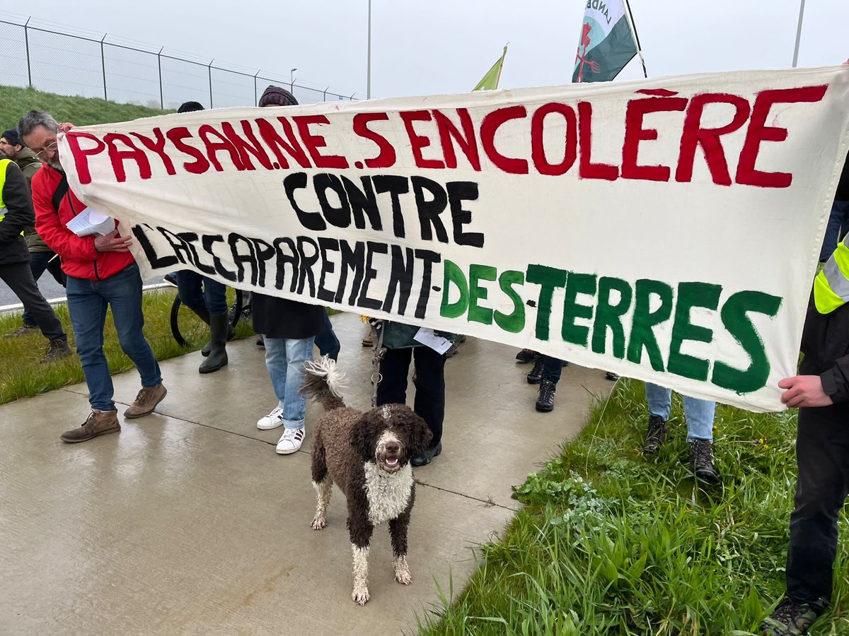 Mobilisation for the International Day of #PeasantStruggles in Belgium 🥔✊ 

Hundreds of people gathered to denounce the destruction of agricultural land for the expansion of #LiègeAirport  ✈️💰

#17April2023 #FoodSovereignty #StopAlibaba