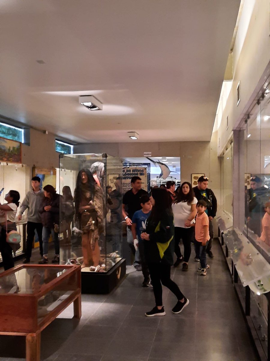 museosanantonio tweet media