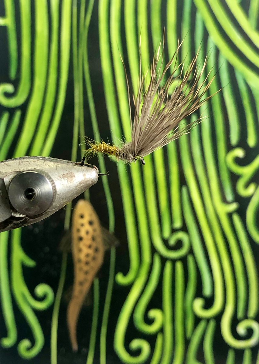 DHE… Flies handmade to order. For all enquiries, please click on weblink in bio or DM. Trout print by @Phishtitz