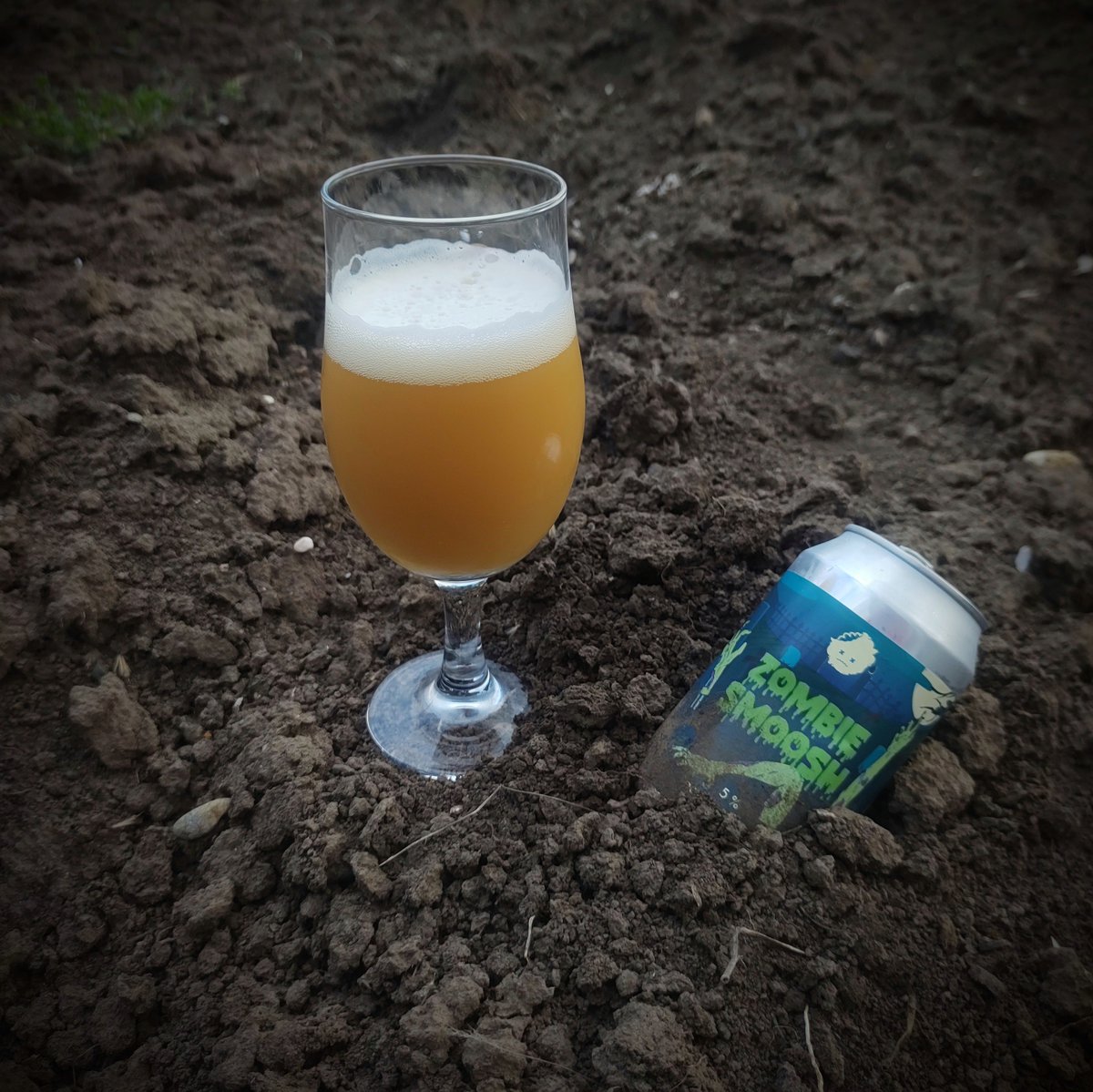 birenoshkembe's tweet photo. He is back from the dead! #coolheadbrew #zombiesmoosh #doublefruitedcandysour #beer #cheers #наздраве https://t.co/4KvqZa7mrr