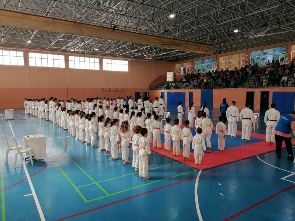 CDADFINEM's tweet photo. 🥋 Campeonato provincial de karate de la AADPT celebrado en Cádiz. Enhorabuena a nuestros competidores/as por su gran trabajo 👏

©️ #CDADFINEM https://t.co/OEmw9JUXiB