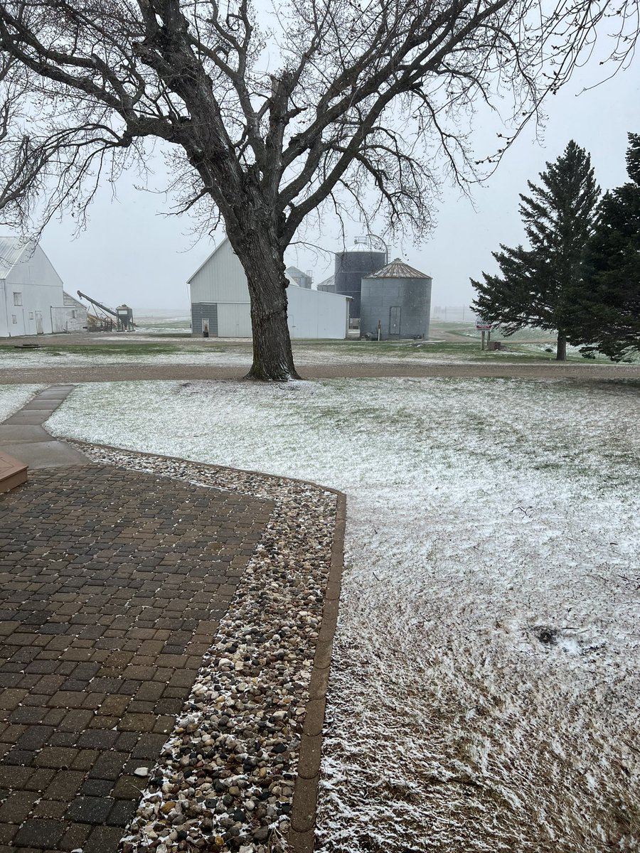 tjwags3's tweet photo. Three of the last four years we have had snow accumulated the middle of April. #plant23 https://t.co/bAtcgOj05w