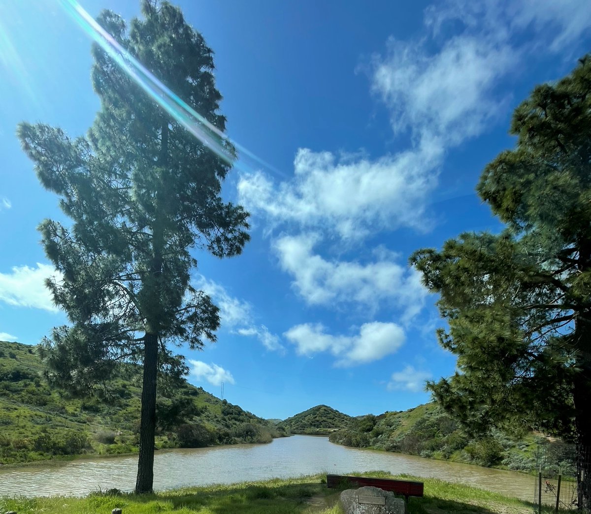CatalinaTours's tweet photo. Haypress Watering Hole is full again! Yay!  Join us on our Inside Adventure Tour to see!  The Bison are loving it! https://t.co/tAyQhyLJF5