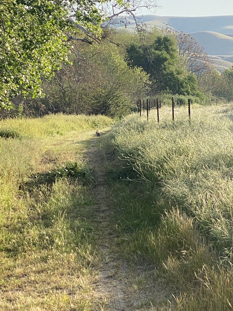 FernetJames's tweet photo. Nice easy Beautiful run this morning. 
GUFORIT morning. #GetSprints Mushroom Hat #Spacerock shirt 
@GUEnergyLabs, @TeamIBProFun 
#2023SaltysSquad
@NoxGear 
@GetSprints https://t.co/JT3BJtEDSq