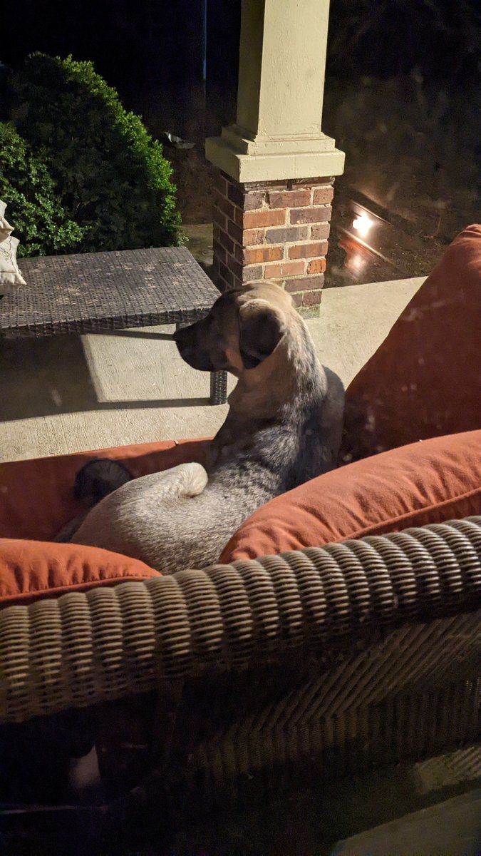 OldNewNurse (she/hers) ☮️ (@oldnewnurse) on Twitter photo 