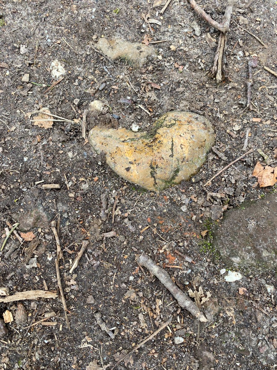 "dag 5

de wind wakkert aan
verdriet vloeit de aarde in
mijn hart voelt lichter"

De Walk of Wisdom in 10 haiku’s – door pelgrim Rachel de Vries van Banda (Den Haag)
walkofwisdom.org/?p=39564