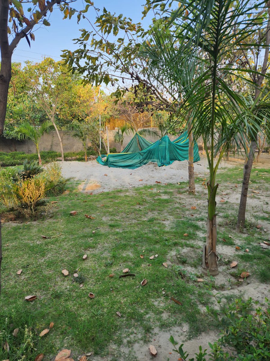 *AVRWA update : Eco Park ( Indus towers ) . Since you all are aware that AVRWA has managed to put the work on hold requesting everyone to come forward to join hands with their letters / petitions for the same .