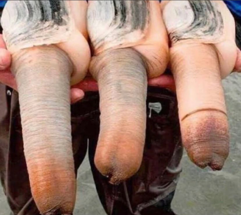 Avatar didn’t vote for this shiite tweet media