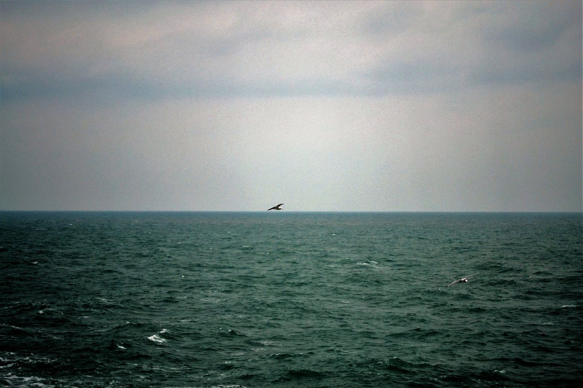 Nikon D3100 55mm
f/5.6 1/500 IOS400