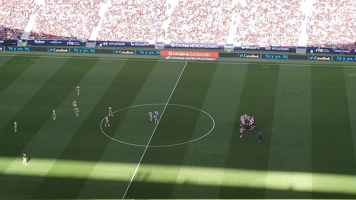 Panda_Austen's tweet image. Hoy es #PandaCam!!! 🤣🤣