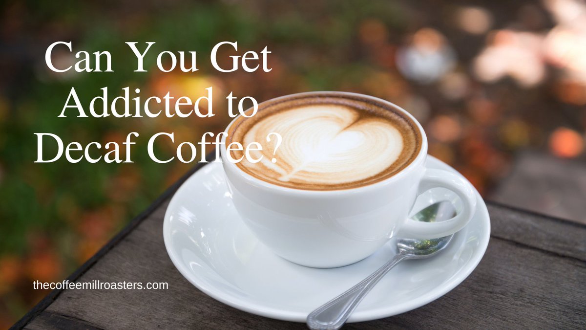 baristaraimo's tweet photo. Can You Get Addicted to Decaf Coffee?
Get more here : https://t.co/r4eDs7uMQD
#coffeeroaster #coffeeshopcorners #coffeeandseasons https://t.co/OsGmw6mfVp
