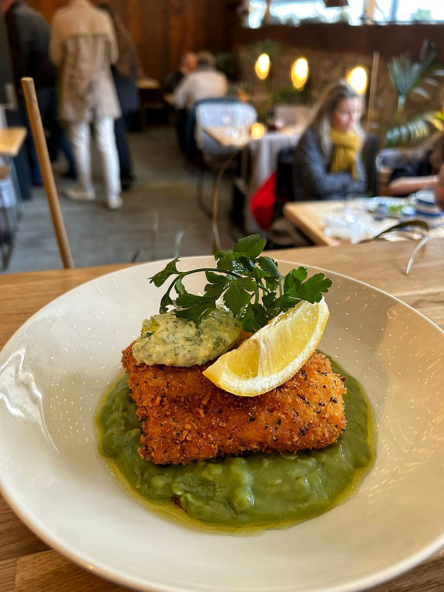 thescallopshell's tweet image. The joys of the Upper Deck! Crisp fried Cornish hake, lemon oregano crumb, split pea purée and tartare sauce 🐟

#hake #splitpeas #upperdeck