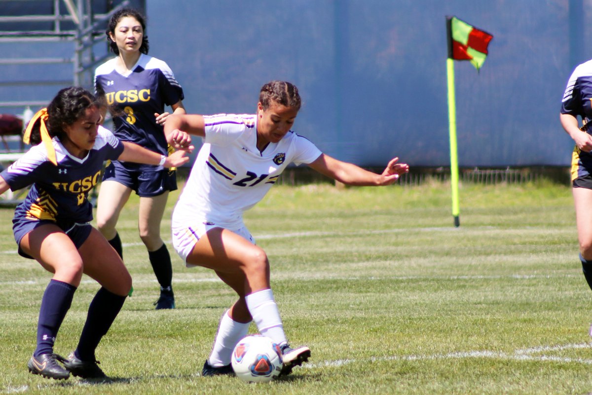 UCSCAthletics's tweet photo. Thanks to all our @UCSCWSoccer alumnae who laced up the boots, came out and made our annual Alumni Game a rooting success
#goslugs #whyD3 https://t.co/Hcb3Ktrfkk