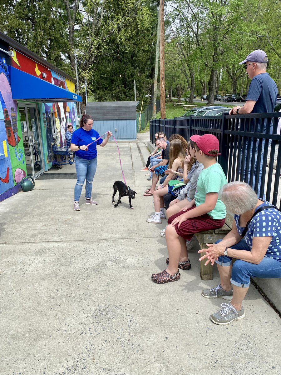 Sarah Raulerson tweet media