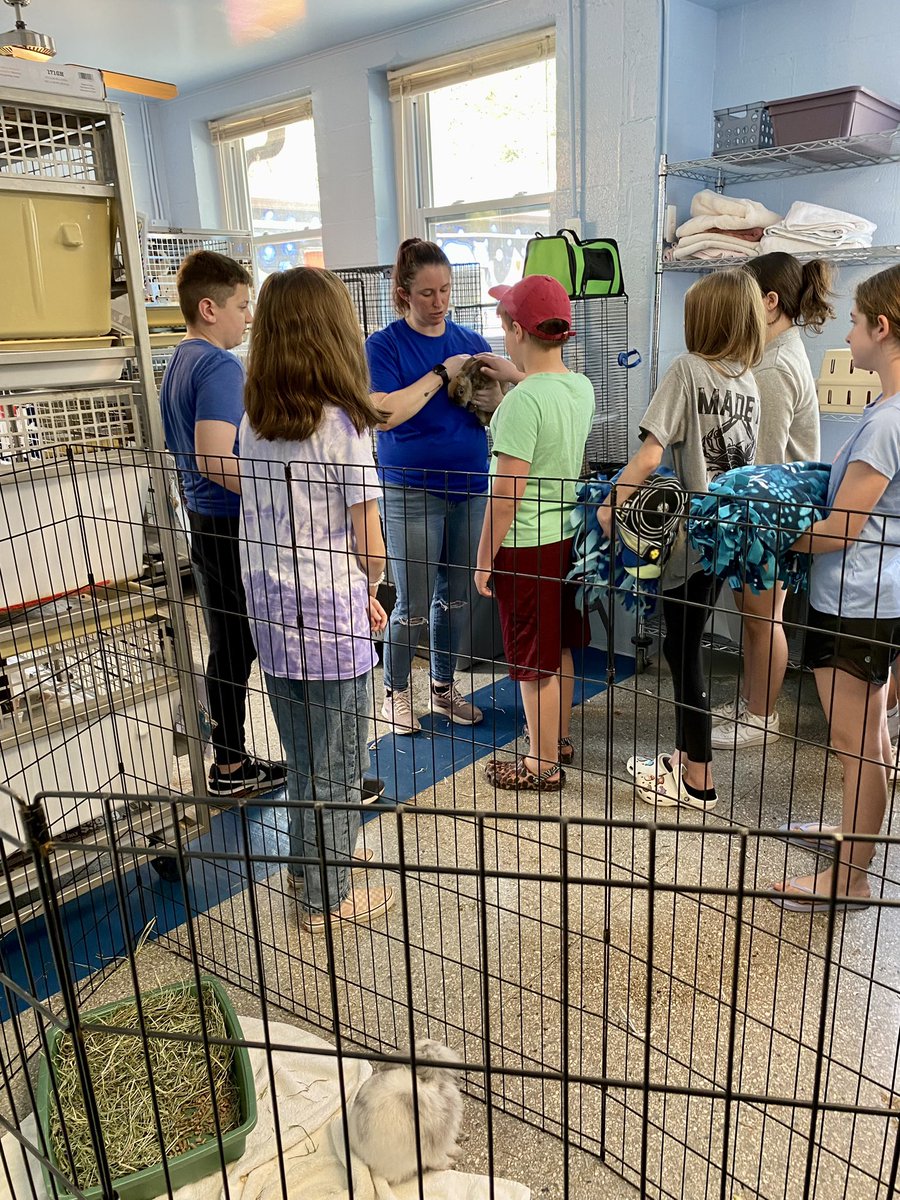 Sarah Raulerson tweet media