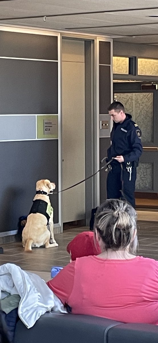 MBBarAssn's tweet image. Drug detector dog Simba and his handler demonstrating at #LawDayWpg