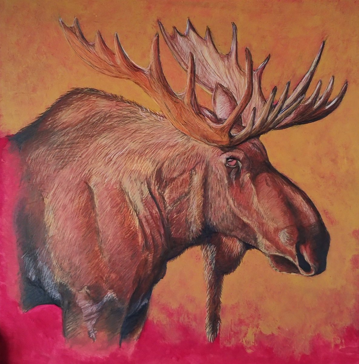 elculmadu's tweet image. Ant....
.
.
.
.
#ant #moose #ante #animallovers #animales #animals #colores #colors #pencildrawing #llàpis  #pencilart #aquarelablepencils #lapiz