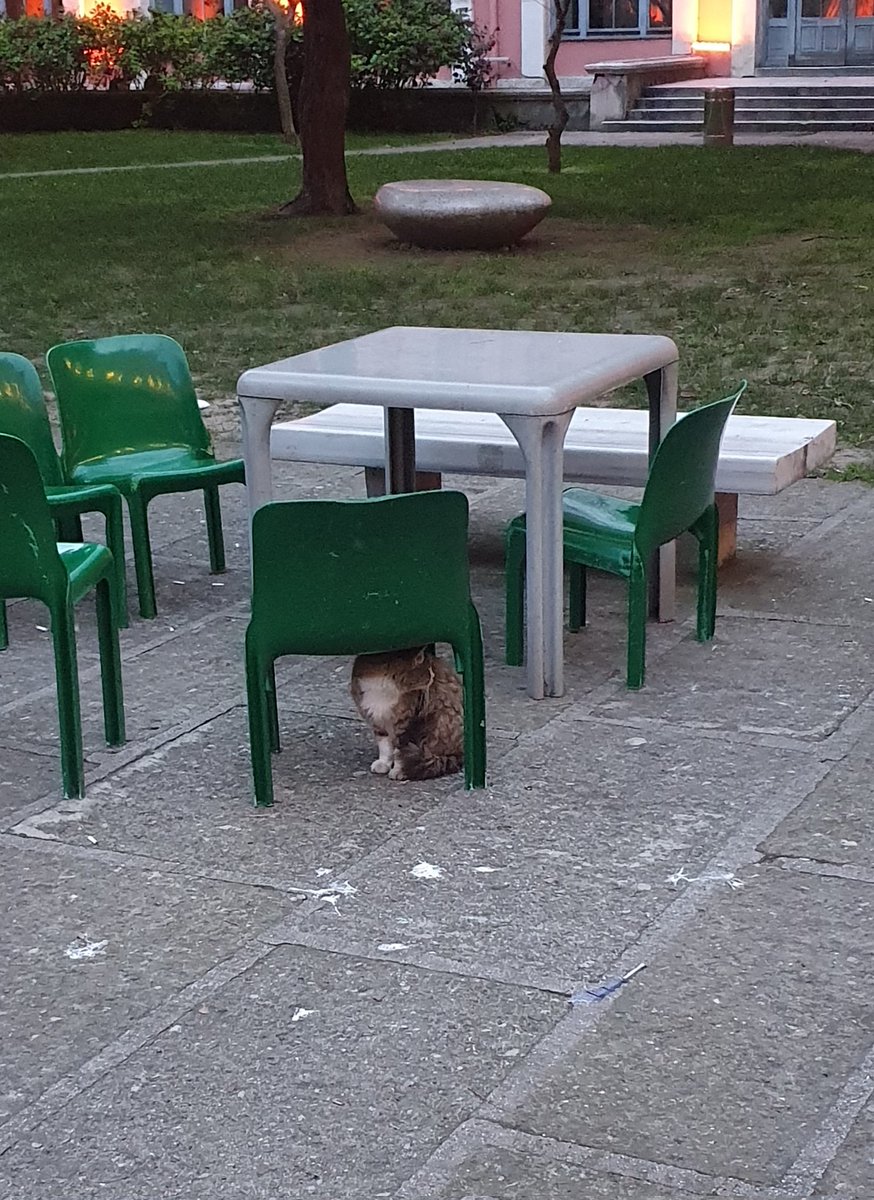 saklambaç oynuyoruz bulamıyorum asla