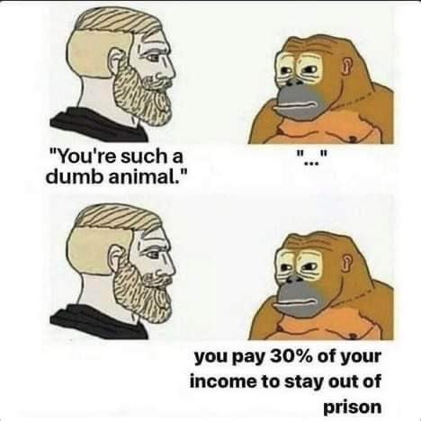 owl_elc's tweet photo. Ape is based. This is what I say when leftists call me stupid, only I add "and defend the people who own the people who'd put you there" to the end. https://t.co/BKCGozggPn