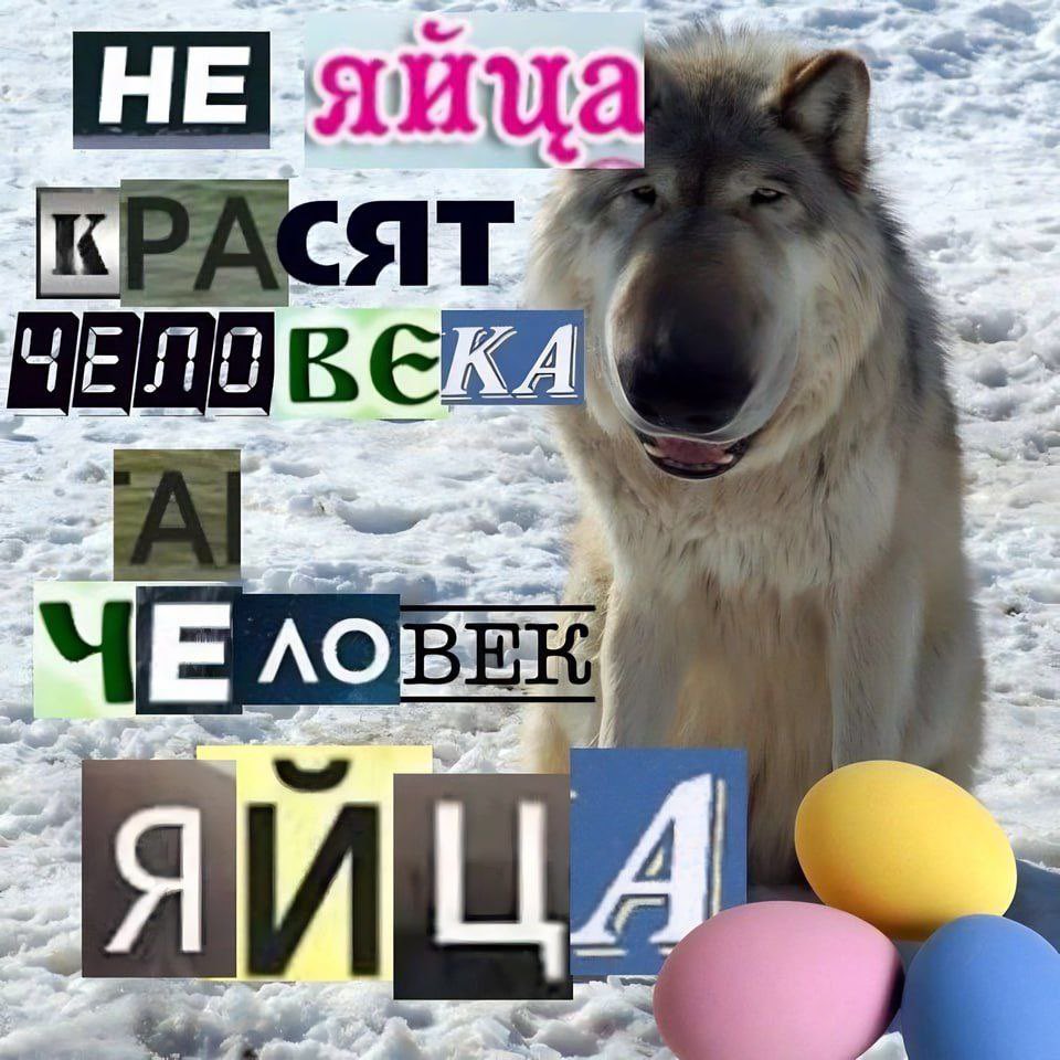 ЭМЕЛЕВСКАЯ (@emelevskaya) on Twitter photo 