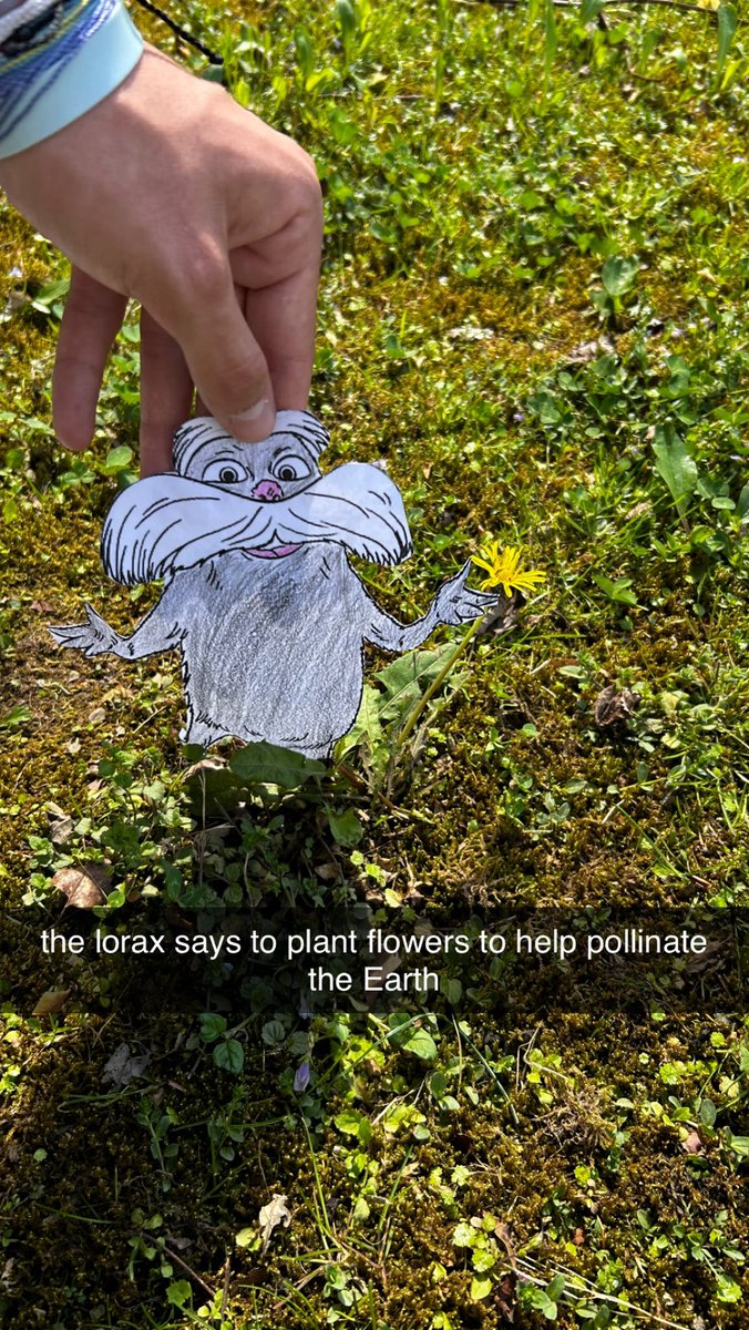 abentley_06's tweet photo. #flatlorax #scottbio #earthday2023 https://t.co/A93ro5Wrxx