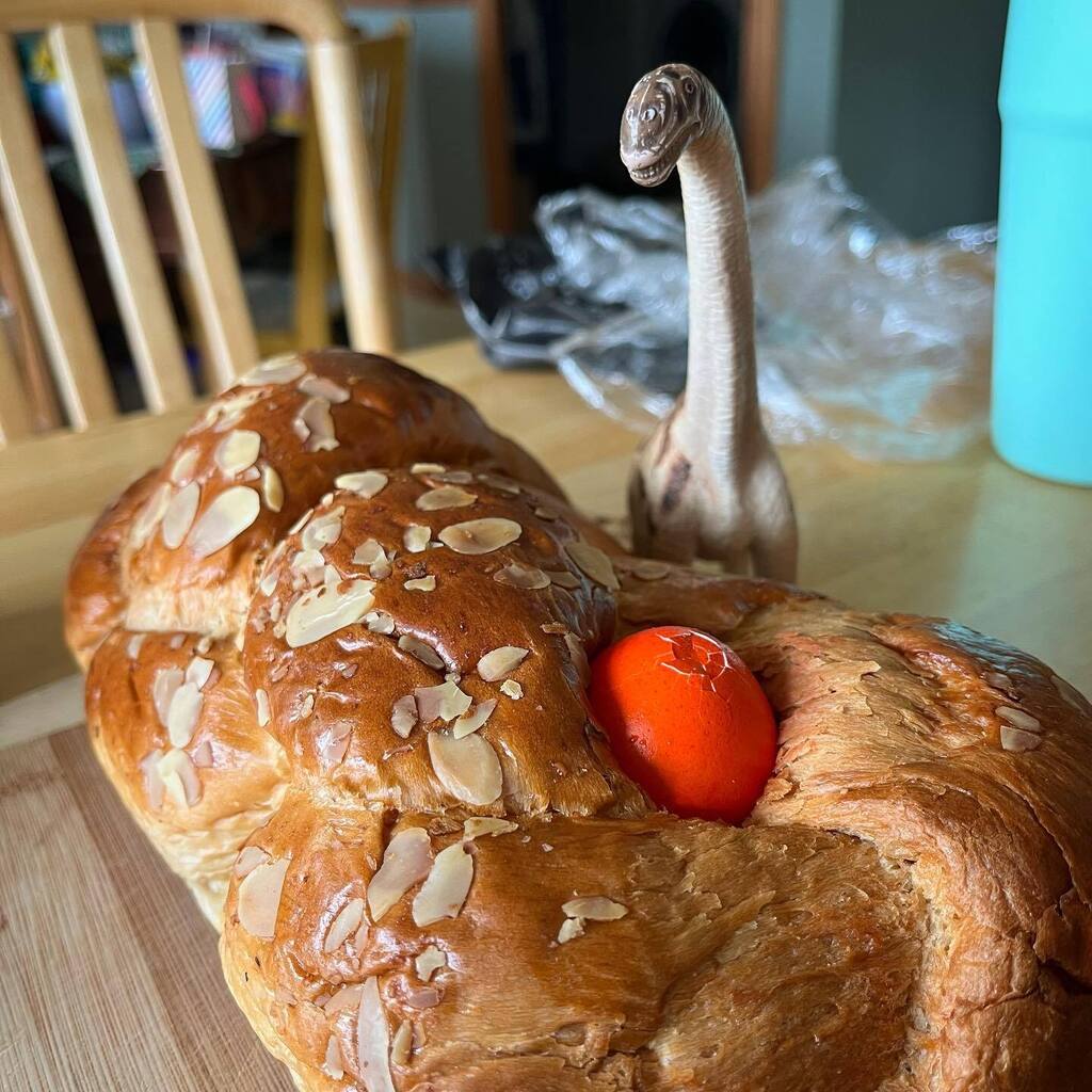 BruceTheBrach's tweet photo. Happy Orthodox Easter! i love tsoureki 😍
.
.
.
.
.
#love #dinosaur #dinosofinstagram #vegetarian #adventure #dino #pets  #schleich #petsofinstagram #herpetology #reptilesofinstagram #reptiles #brachiosaurus #tsoureki #pascha #easter #braidedbread #br… https://t.co/telEYyxPtW https://t.co/mqOkcj0u8U