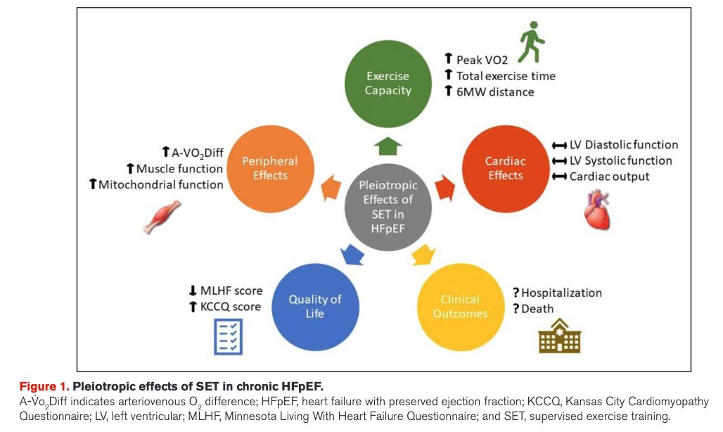 SatchinPanda's tweet photo. In HFpEF heart failure #heart doesn’t pump enough blood. Patients have poor quality of life. Review of multiple controlled trials found supervised #exercise training ���is safe” and offers “improvements in #aerobic exercise capacity and quality of life.”
https://t.co/hKq3X2NTLf https://t.co/E2pje9CDkD