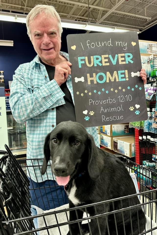 18 preapproved adoptions or trial runs yesterday. Grateful for each one. Kent is on the way to his new home in New Mexico.